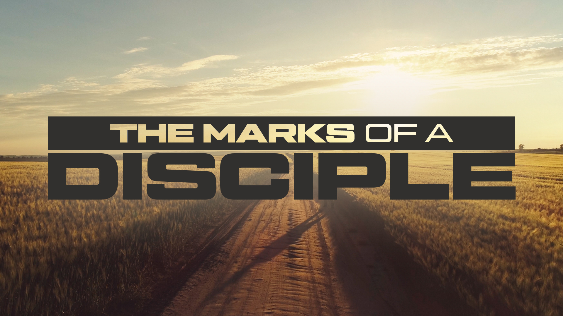 Marks of a Disciple