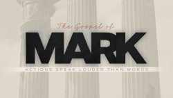 mark series avatar